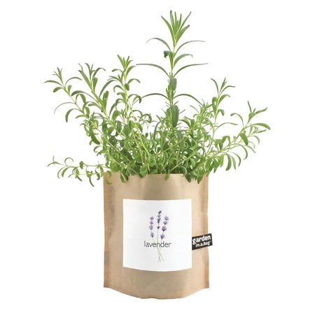 Garden in a Bag-Lavender