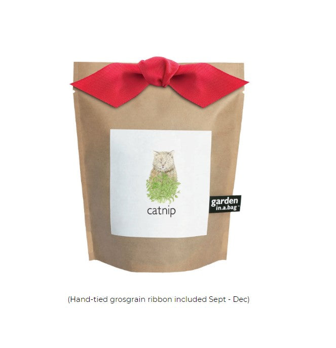 Garden in a Bag-Catnip