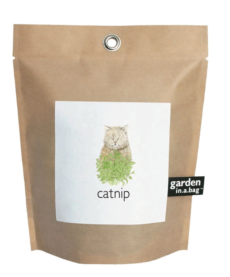 Garden in a Bag-Catnip