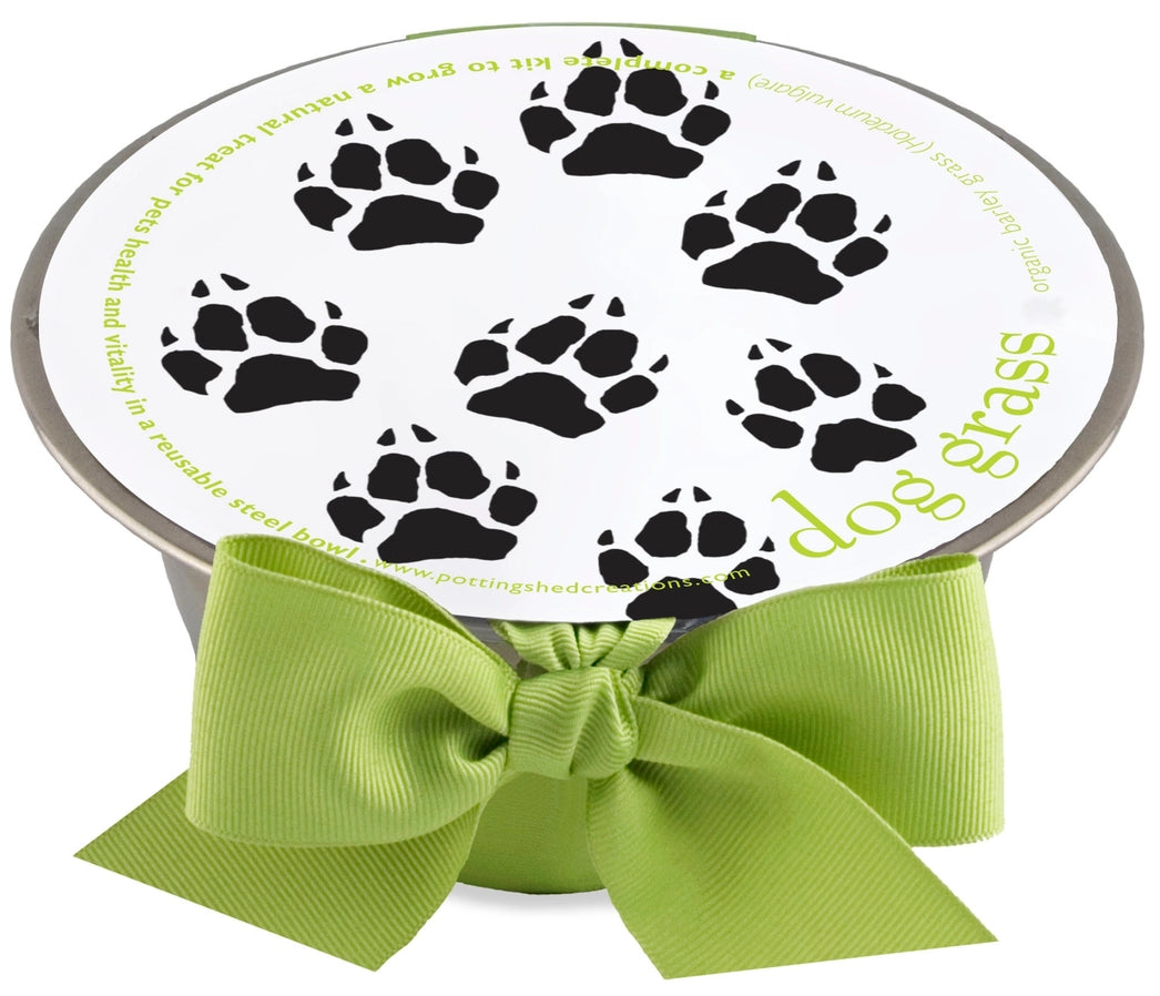 Pet Bowl Dog Grass