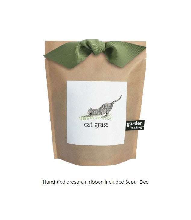 Garden in a Bag Cat Grass