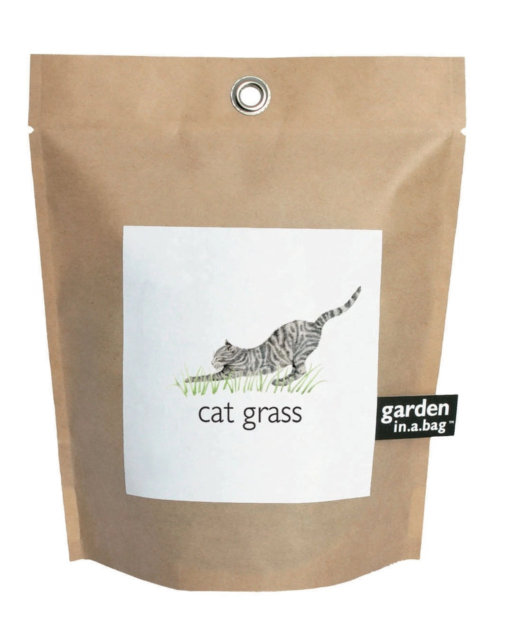 Garden in a Bag Cat Grass