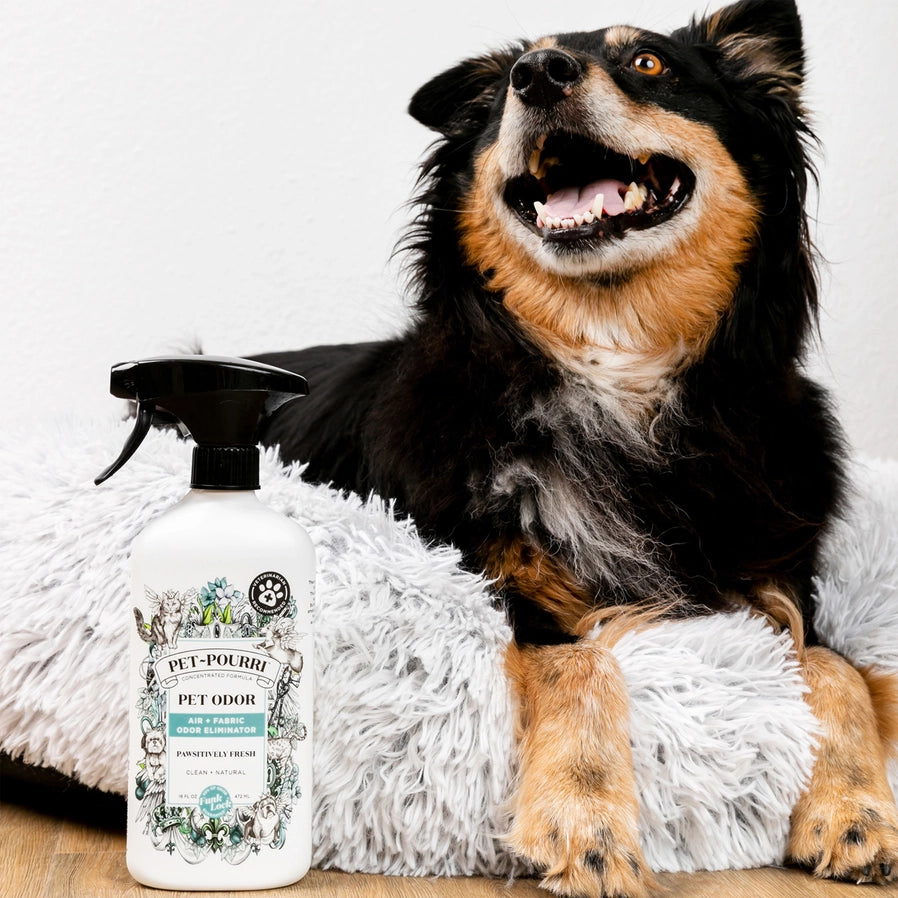 Pet Pourri - Pet Odor Eliminator